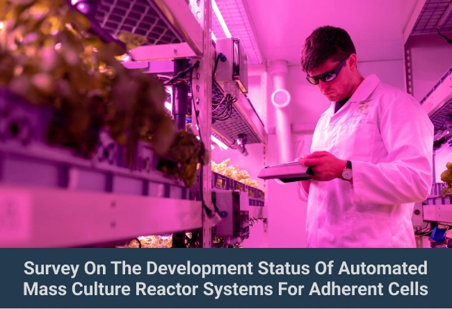 Survey On The Development Status Of Automated Mass Culture Reactor Systems For Adherent cells (MSC, iPS)